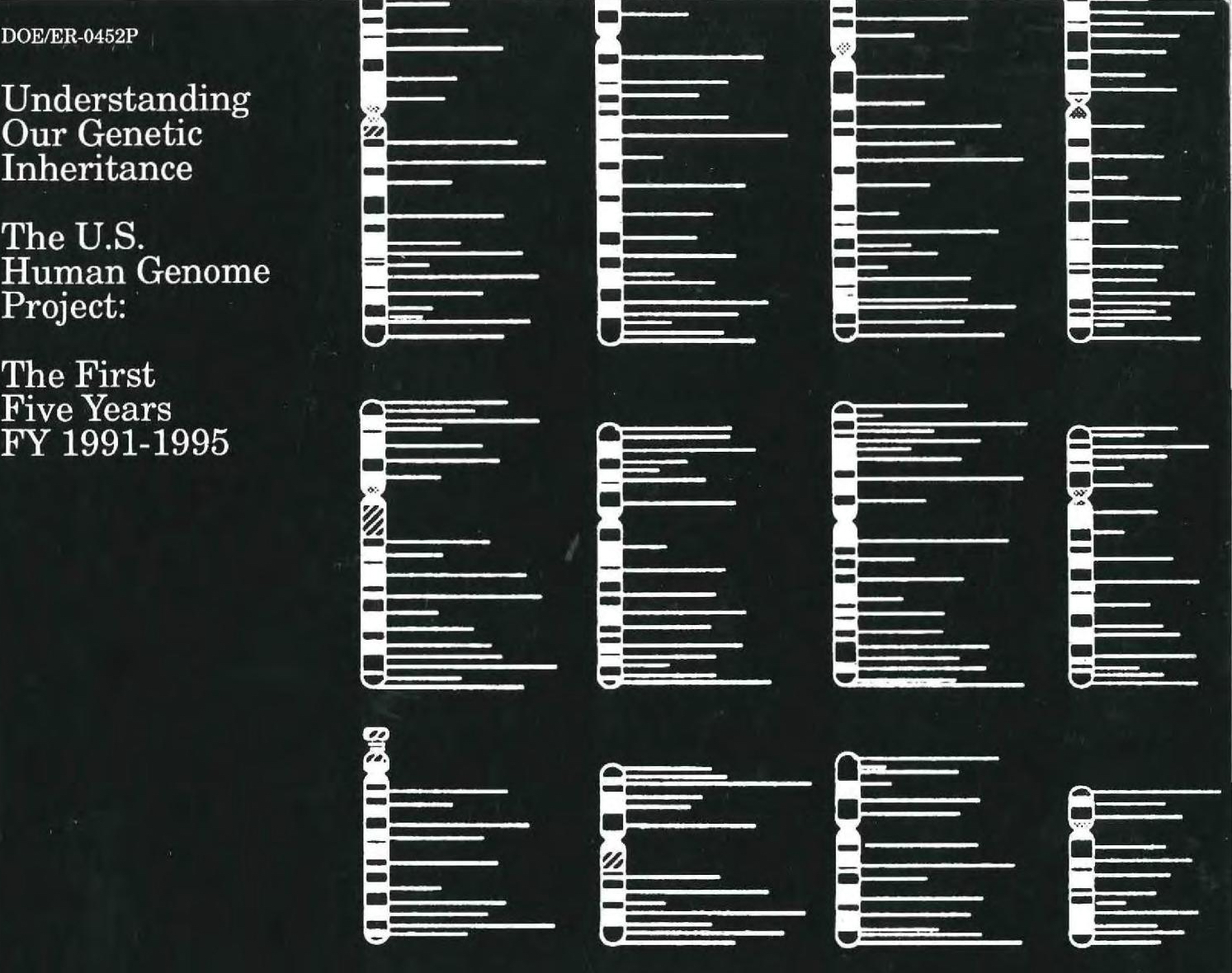 The progress report on the human genome project
    from 1995